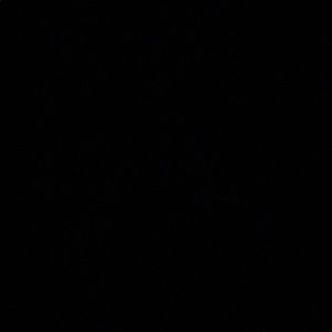 Meet your Posher, Edgar